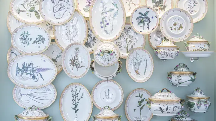 1.351 Flora Danica-steldele færdige